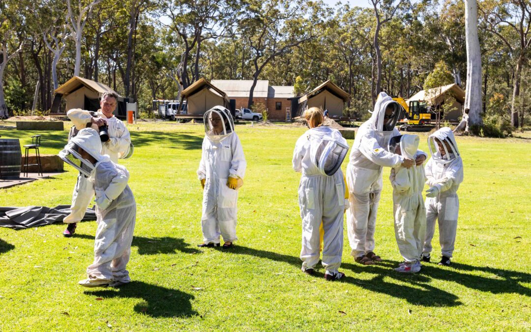 Kids’ Bee Workshops – July, September, October 2026