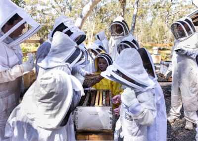 Beekeeper Honey Raw shoalhaven huskisson Jervis Bay Hives Bees tour guide workshop activity what to do educational schools