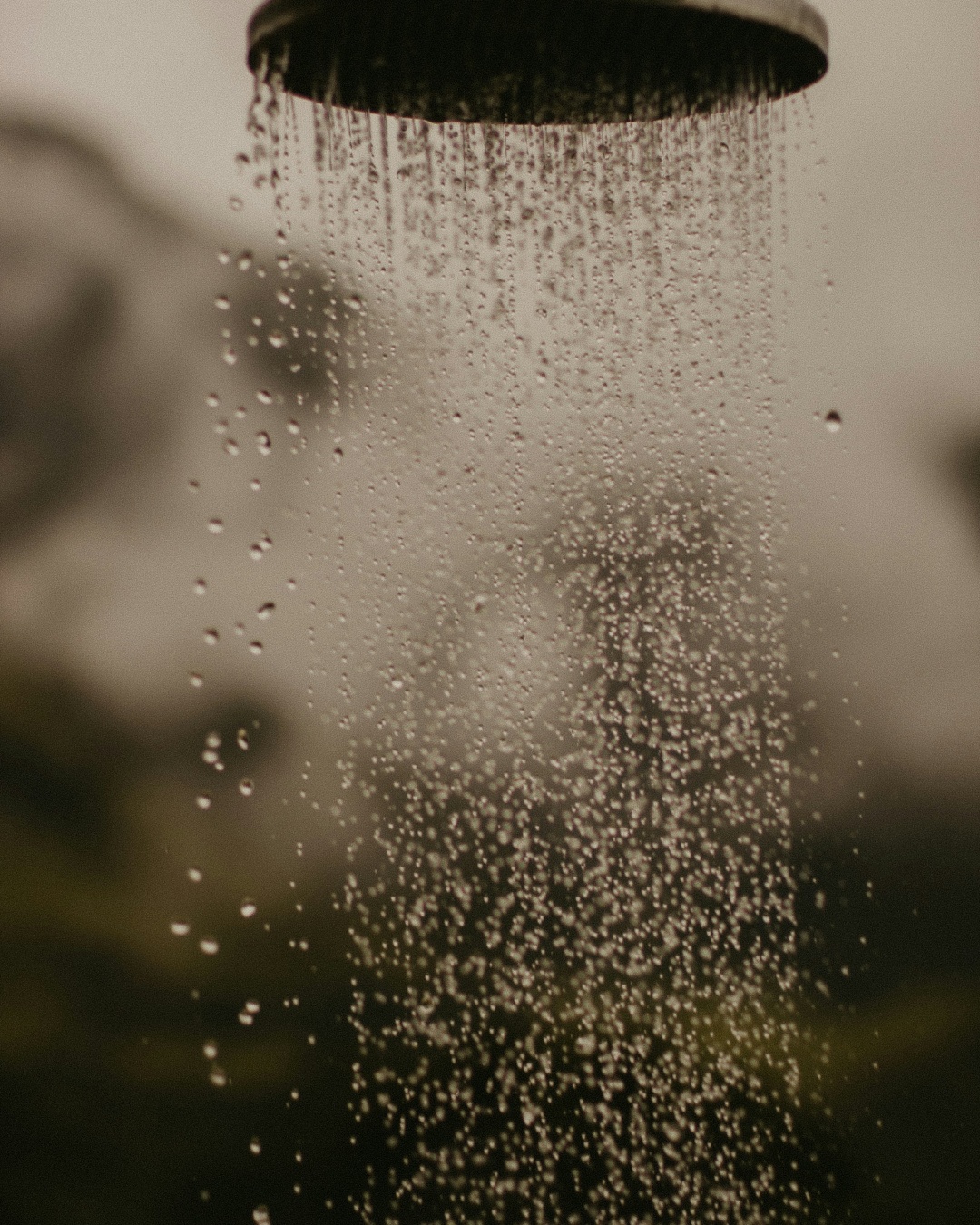 Open-air shower against the bush